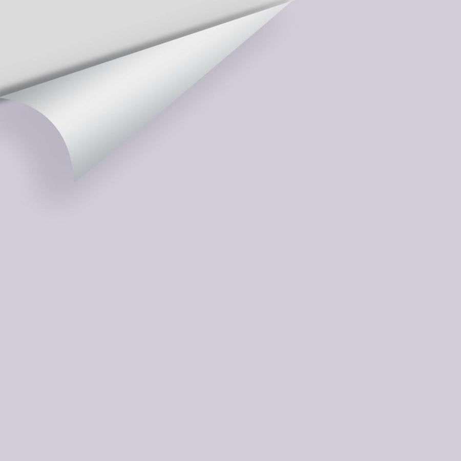 Digital color swatch of Benjamin Moore's Winter Gray 2117-60 Peel & Stick Sample available at Ricciardi BRothers in PA, DE, & NJ.