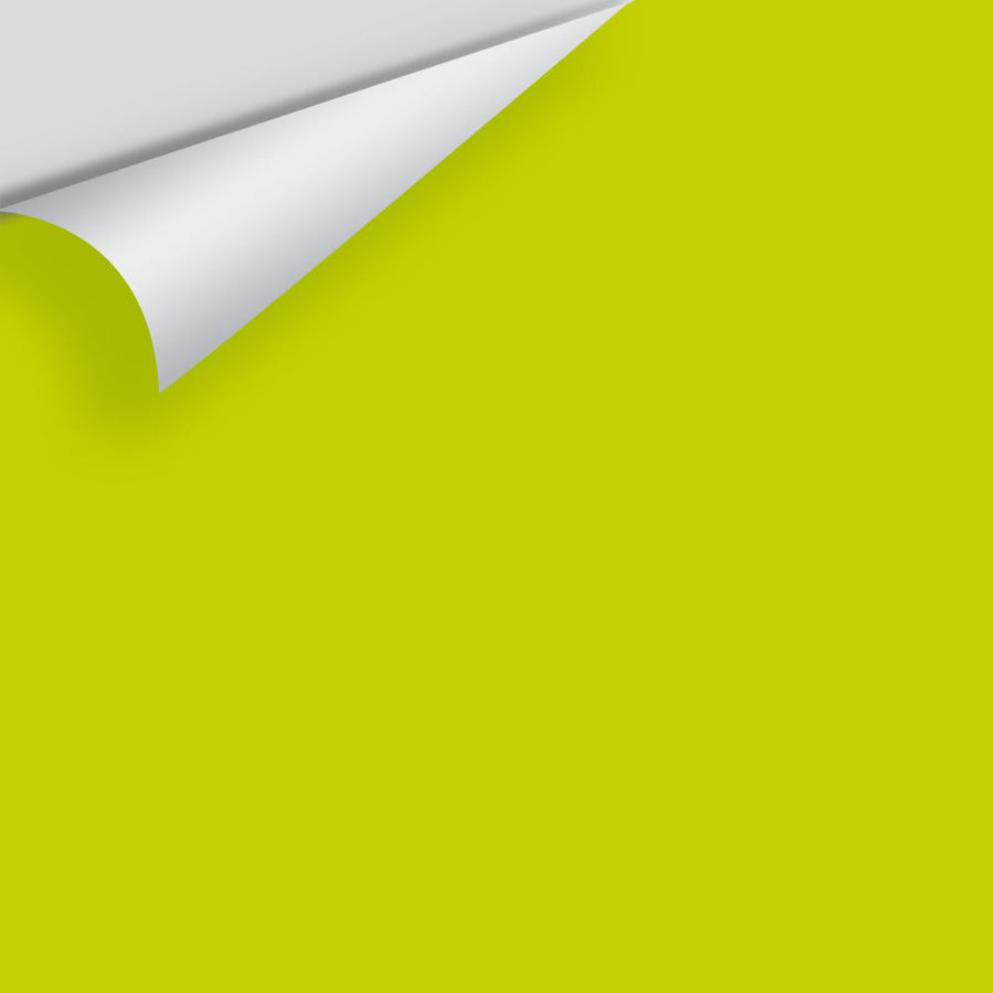 Digital color swatch of Benjamin Moore's Yew Green 2025-20 Peel & Stick Sample available at Ricciardi BRothers in PA, DE, & NJ.