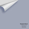 Digital color swatch of Benjamin Moore's Yukon Sky 1439 / CC-920 Peel & Stick Sample available at Ricciardi BRothers in PA, DE, & NJ.
