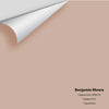 Digital color swatch of Benjamin Moore's Cappuccino 2096-50 Peel & Stick Sample available at Ricciardi BRothers in PA, DE, & NJ.