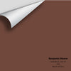 Digital color swatch of Benjamin Moore's Earth Brown 2102-10 Peel & Stick Sample available at Ricciardi BRothers in PA, DE, & NJ.