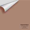 Digital color swatch of Benjamin Moore's Gaucho Brown 2096-40 Peel & Stick Sample available at Ricciardi BRothers in PA, DE, & NJ.