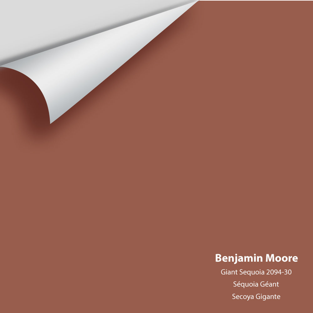 2094-30 Giant Sequoia