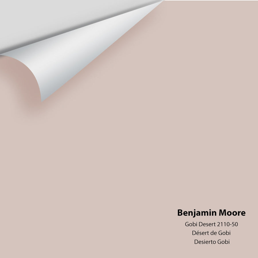 Digital color swatch of Benjamin Moore's Gobi Desert 2110-50 Peel & Stick Sample available at Ricciardi BRothers in PA, DE, & NJ.