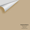 Digital color swatch of Benjamin Moore's Lenox Tan HC-44 Peel & Stick Sample available at Ricciardi BRothers in PA, DE, & NJ.