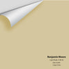 Digital color swatch of Benjamin Moore's Light Khaki 2148-40 Peel & Stick Sample available at Ricciardi BRothers in PA, DE, & NJ.