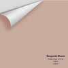 Digital color swatch of Benjamin Moore's Pebble Stone 2100-50 Peel & Stick Sample available at Ricciardi BRothers in PA, DE, & NJ.