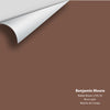 Digital color swatch of Benjamin Moore's Rabbit Brown 2105-30 Peel & Stick Sample available at Ricciardi BRothers in PA, DE, & NJ.