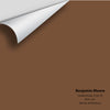 Digital color swatch of Benjamin Moore's Saddle Brown 2164-10 Peel & Stick Sample available at Ricciardi BRothers in PA, DE, & NJ.