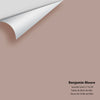 Digital color swatch of Benjamin Moore's Seaside Sand 2110-40 Peel & Stick Sample available at Ricciardi BRothers in PA, DE, & NJ.