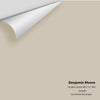 Digital color swatch of Benjamin Moore's Smokey Taupe 983 Peel & Stick Sample available at Ricciardi BRothers in PA, DE, & NJ.