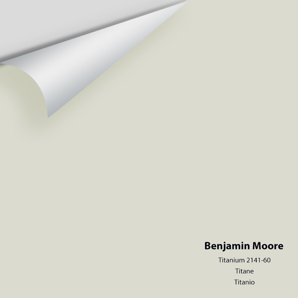 Digital color swatch of Benjamin Moore's Titanium 2141-60 Peel & Stick Sample available at Ricciardi BRothers in PA, DE, & NJ.
