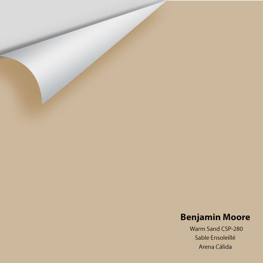 Digital color swatch of Benjamin Moore's Warm Sand CSP-280 Peel & Stick Sample available at Ricciardi BRothers in PA, DE, & NJ.