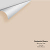 Digital color swatch of Benjamin Moore's White Oaks 1080 Peel & Stick Sample available at Ricciardi BRothers in PA, DE, & NJ.