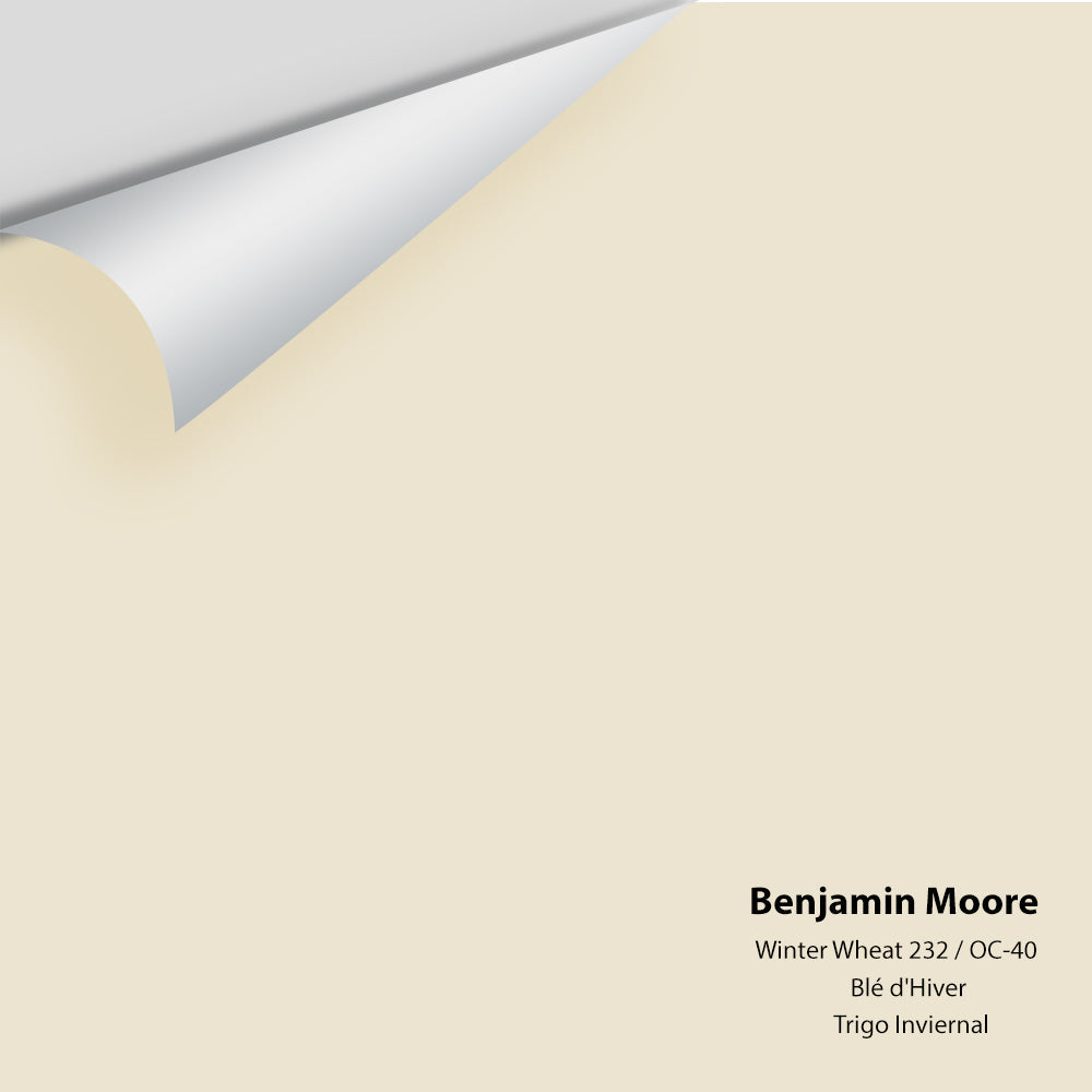 Digital color swatch of Benjamin Moore's Winter Wheat 232 Peel & Stick Sample available at Ricciardi BRothers in PA, DE, & NJ.