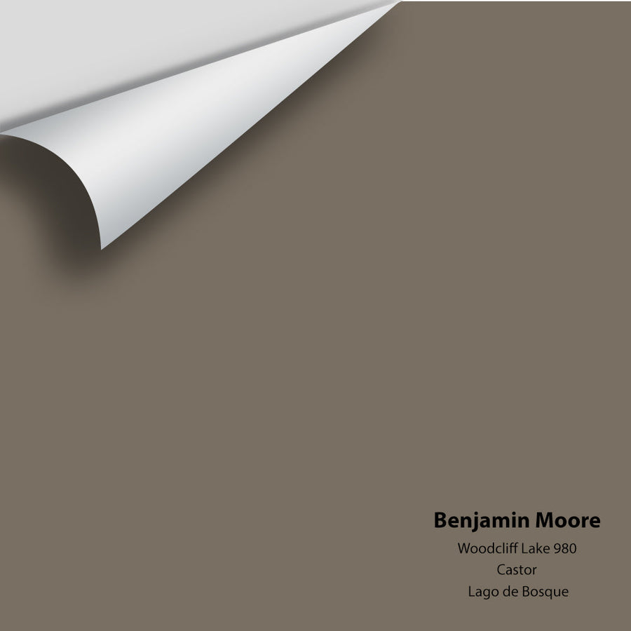 Digital color swatch of Benjamin Moore's Woodcliff Lake 980 Peel & Stick Sample available at Ricciardi BRothers in PA, DE, & NJ.