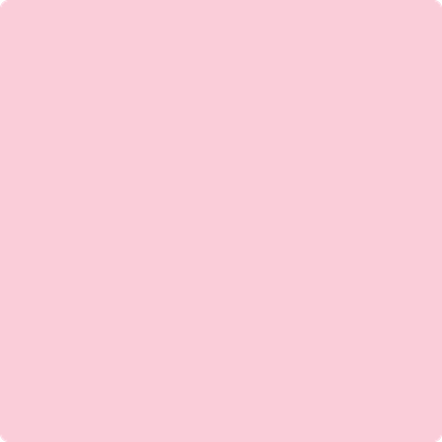 Benjamin Moore's 2003-60 Exotic Pink| Ricciardi Brothers