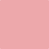Benjamin Moore's 2006-50 Pink Punch Paint Color