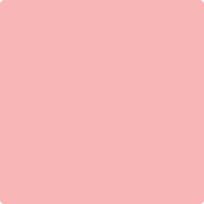 Benjamin Moore's 2009-50 Fashion Pink Paint Color