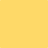 Benjamin Moore's 2020-40 Raincoat Yellow Paint Color