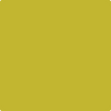 Benjamin Moore's 2024-10 Chartreuse Paint Color