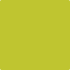 Benjamin Moore's 2027-30 Electric Lime Paint Color