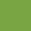 Benjamin Moore's 2028-10 Iguana Green Paint Color