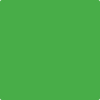 Benjamin Moore's 2030-20 Tropical Seaweed Green Paint Color