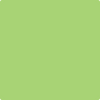 Benjamin Moore's 2031-40 Spring Meadow Green Paint Color