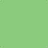 Benjamin Moore's 2032-40 Citrus Green Paint Color
