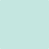 Benjamin Moore's 2041-60 Soft Mint Paint Color