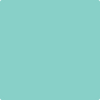 Benjamin Moore's 2045-50 Green Coral Paint Color