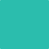 Benjamin Moore's 2046-40 Green Sponge Paint Color