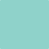 Benjamin Moore's 2047-50 Shore House Green Paint Color