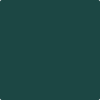 Benjamin Moore's 2054-10 Bavarian Forest Paint Color