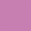 Benjamin Moore's 2075-40 Pink Raspberry Paint Color