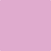 Benjamin Moore's 2075-50 Pink Taffy Paint Color