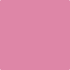 Benjamin Moore's 2078-40 Paradise Pink Paint Color