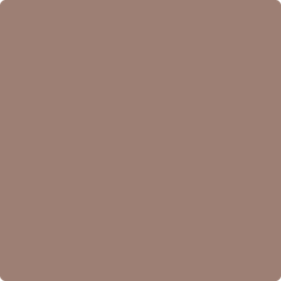 Benjamin Moore's 2098-40 Café Ole| Ricciardi Brothers