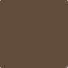 Benjamin Moore's 2111-20 Grizzly Bear Brown Paint Color