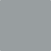 Benjamin Moore's 2121-30 Pewter Paint Color