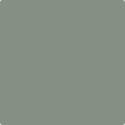 Benjamin Moore's 2138-40 Carolina Gull Paint Color