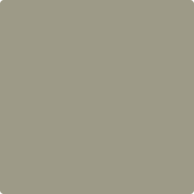 Benjamin Moore's 2141-40 Creekside Green| Ricciardi Brothers