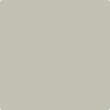 Benjamin Moore's 2141-50 Horizon Gray Paint Color