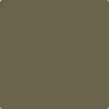 Benjamin Moore's 2142-20 Turtle Green Paint Color