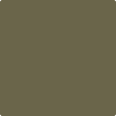 2142-20-turtlegreen_5ebfbbf2-