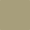Benjamin Moore's 2143-30 Olive Branch Paint Color