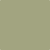 Benjamin Moore's 2144-30 Rosemary Sprig Paint Color