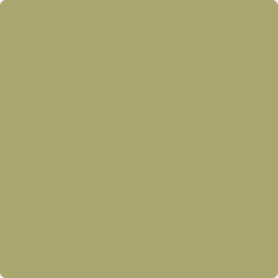 Benjamin Moore's 2145-30 Brookside Moss Paint Color