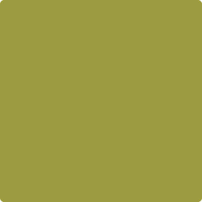 Benjamin Moore's 2146-20 Forest Moss Paint Color